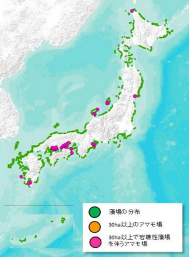 全国の炭素吸収の量