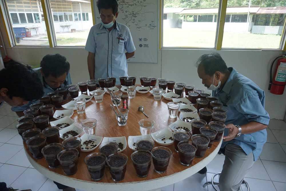 持続可能なコーヒー栽培に向けた取り組み