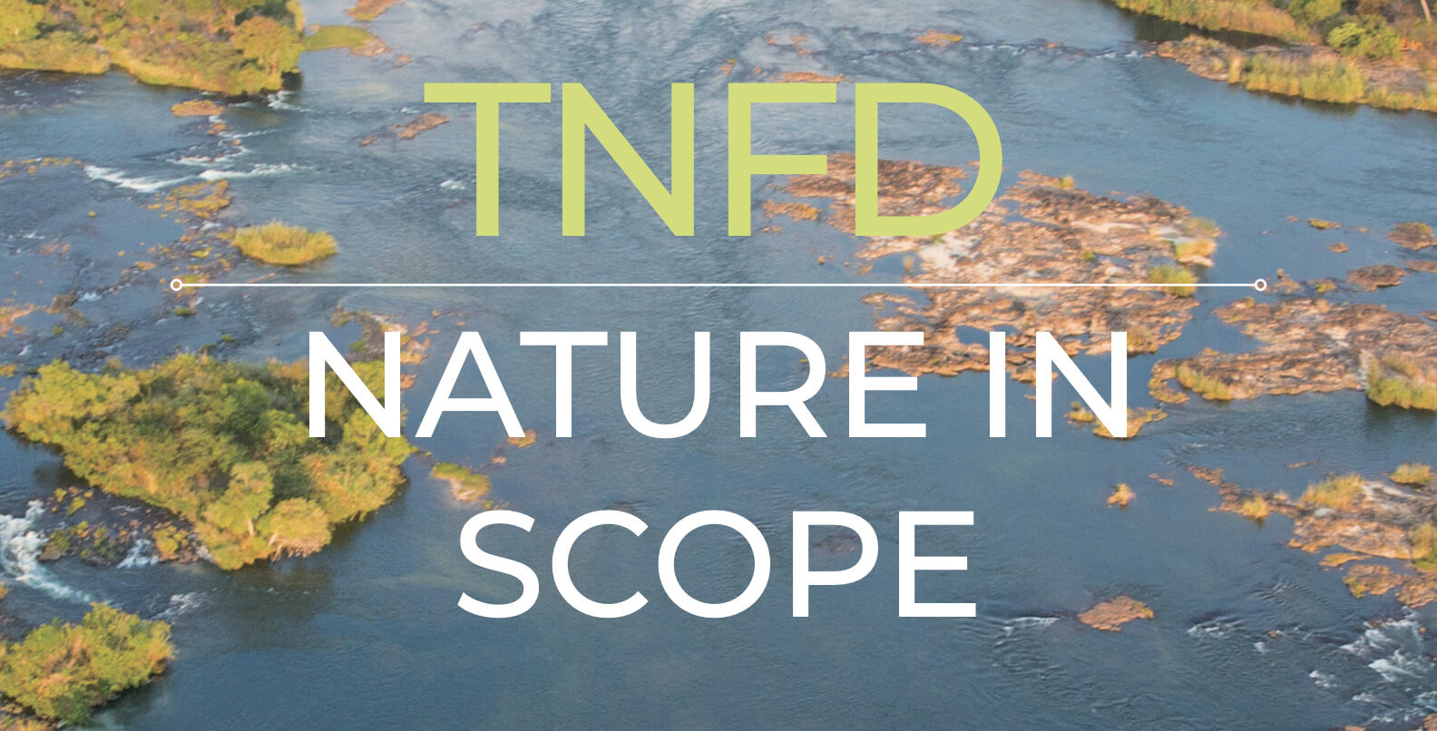 TNFD 自然関連財務情報開示タスクフォースとは?