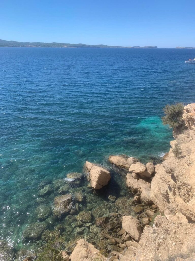 海水は透明度の高いブルーが特徴的