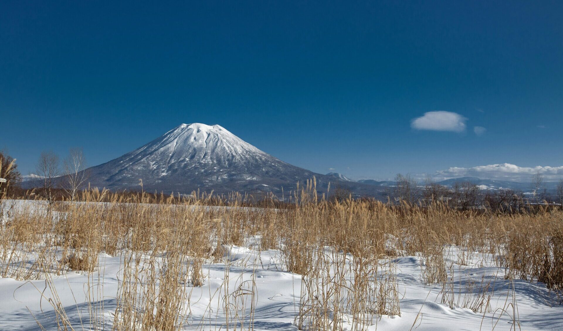 ニセコ町（北海道）が取り組むサステナブル・ツーリズムの事例