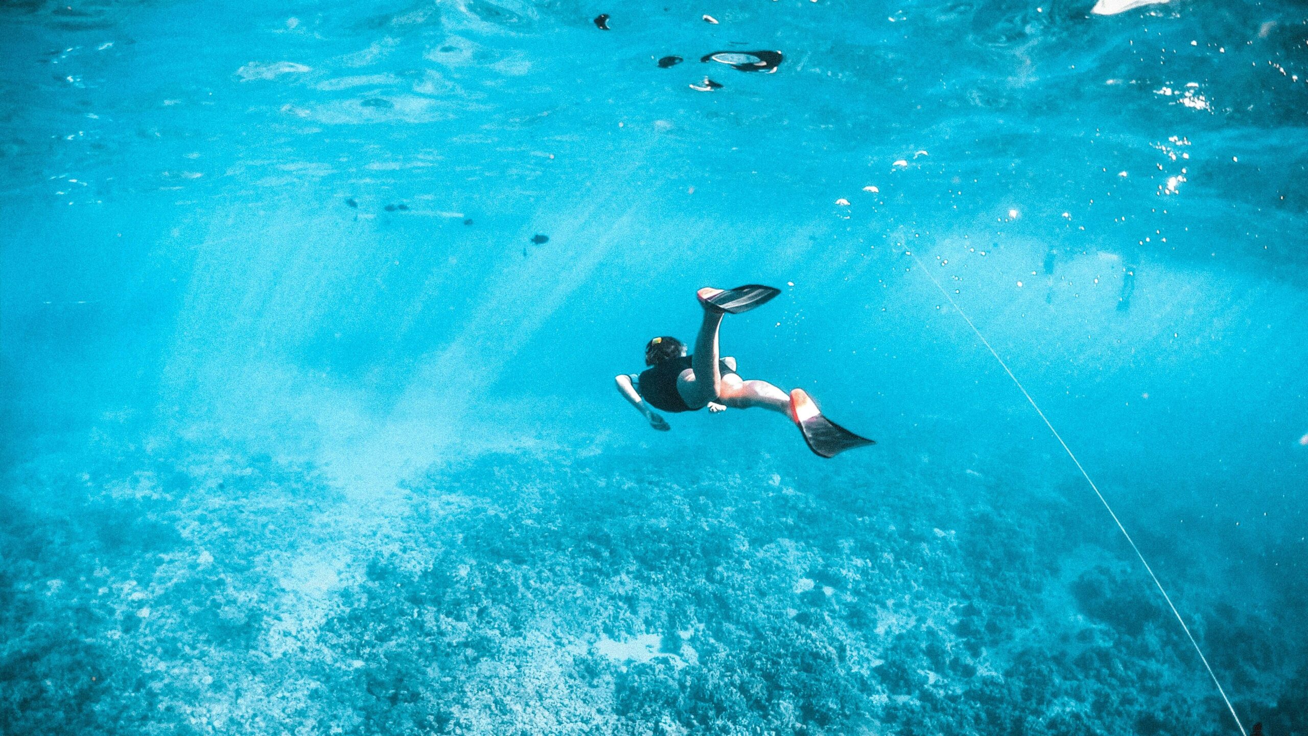 水を通じて、生きている実感に触れる旅