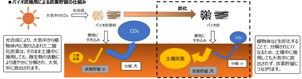 バイオ炭の定義と成分