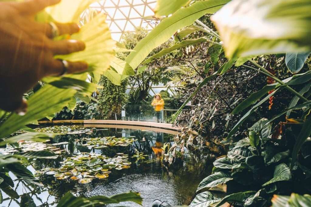 植物園の中に立つ黄色い服の女性