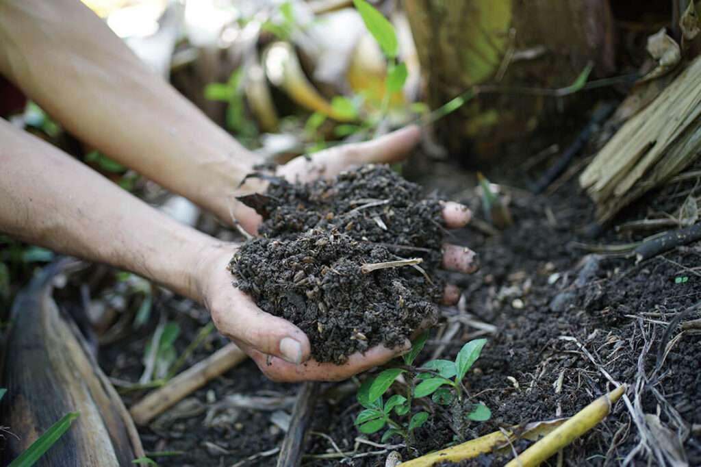 肥料にアップサイクルされる麦芽粕