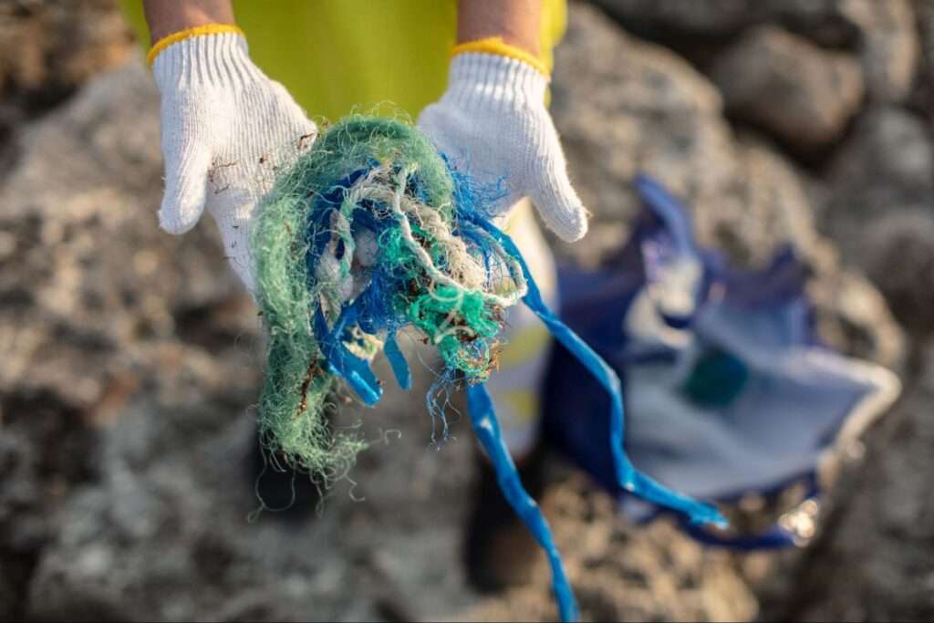 拾われた海洋ごみ