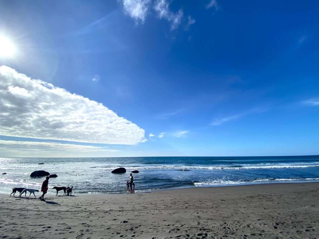 New Plymouth