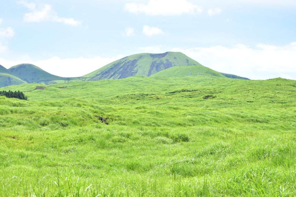 阿蘇　草原