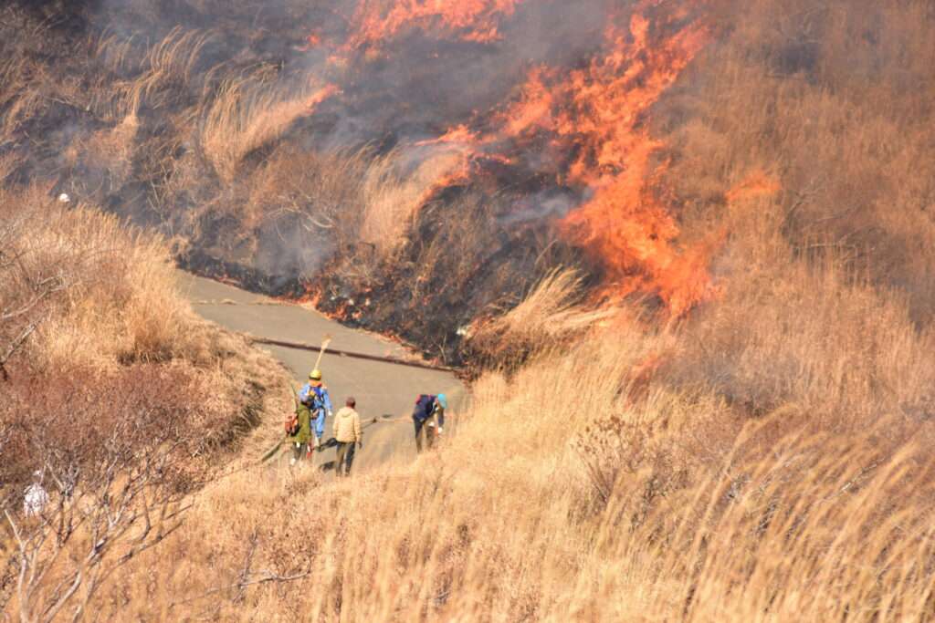 阿蘇　野焼き