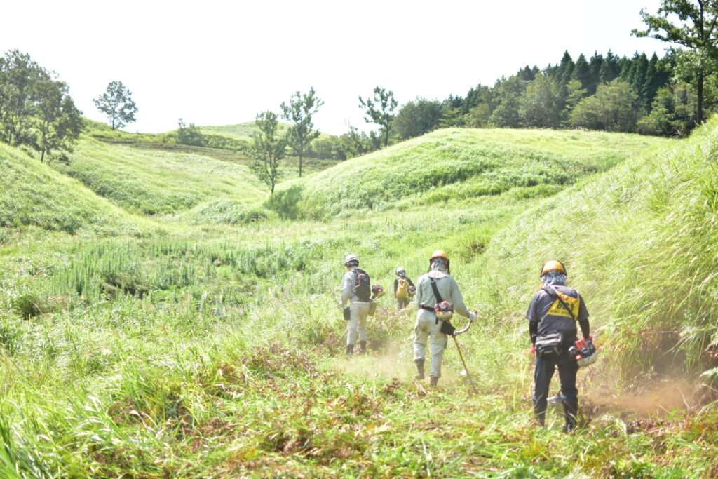 野焼き　ボランティア