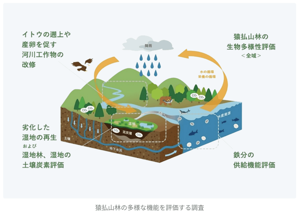 王子ホールディングスの図