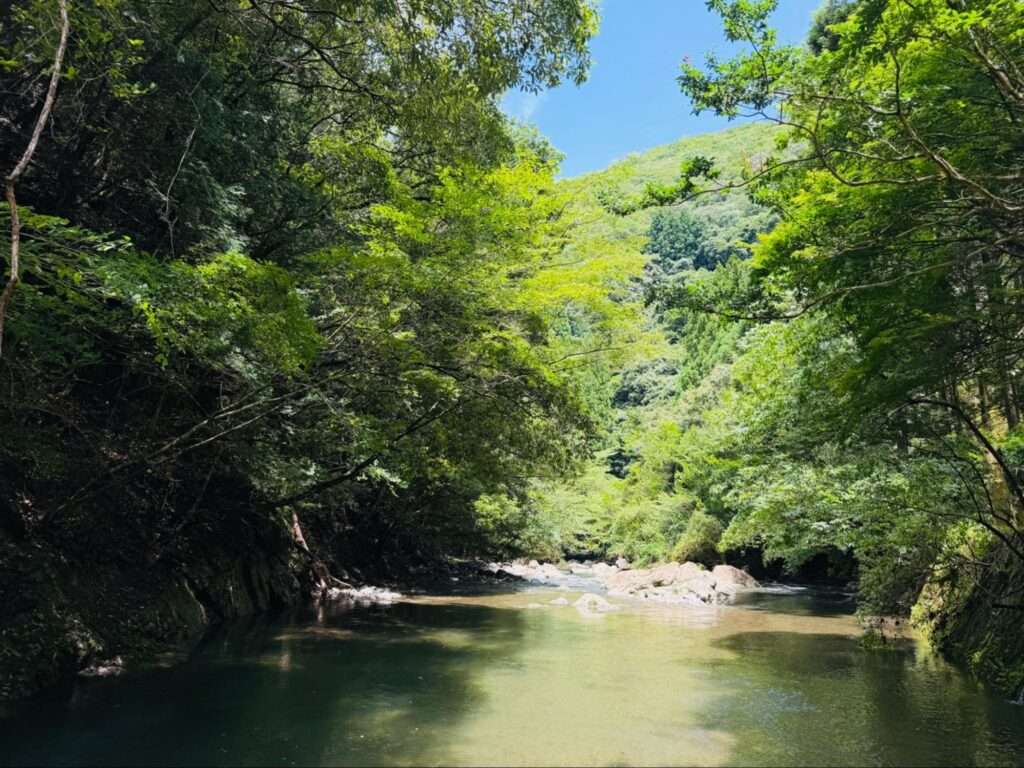 晴れの日の四万十川の様子